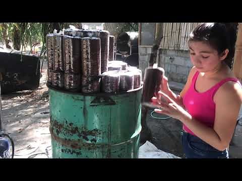 #3 MUSHROOM PRODUCTION PHILIPPINES; PASTEURIZATION of FRUITING BAGS