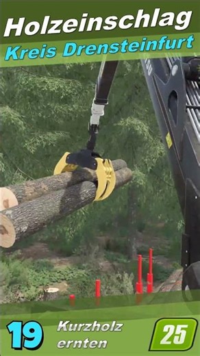 🌲 Holzeinschlag Kreis Drensteinfurt 🌲 19 🌲 #ls25 #fs25
