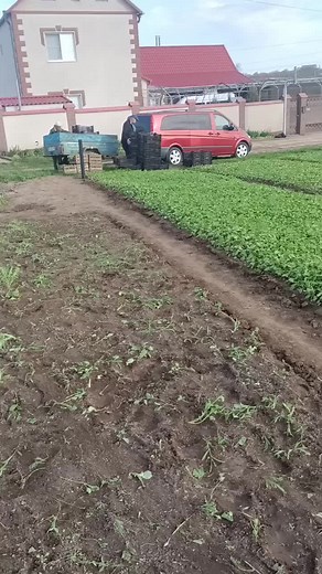 Rural Agricultural Life: Planting and Harvesting Crops