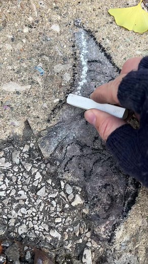 Marcia Chenelle: Master of Sidewalk Chalk Art