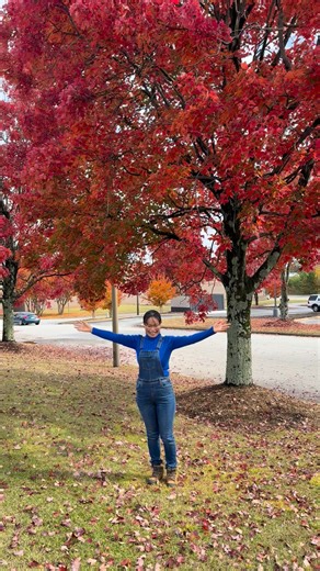 Red maple trees ต้นเมเปิ้ลสีแดง ซึ่งช่วงนี้จะเป็นช่วงพีคของฤดูใบไม้เปลี่ยนสีเลยค่ะทุกคน I LOVE AUTUMN COLOR🍁🍁 #fblifestyle #ฤดูใบไม้เปลี่ยนสี #ฤดูใบไม้ร่วง #fallseason #autumn #ชีวิตชนบทในอเมริกา #ยายปัญพลัดถิ่นinusa | ยายปัญพลัดถิ่นInUSA