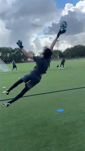 Goalkeeper Academy Training #goalkeeper #goalkeepers