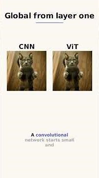What exactly is a vision transformer?