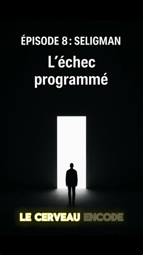 60 expériences sociales, épisode 8 : Seligman