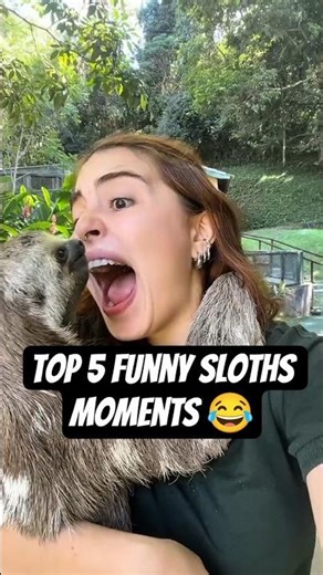 Funny Sloth Moments #shorts #marriageproposals