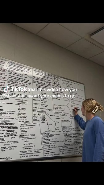 Best Study Tips for Exam Success