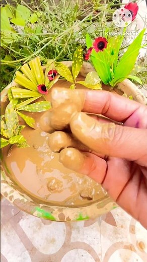 Powerful Sound of a Sacred Conch Shell 🐚