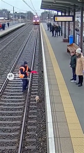 He Ran From the Bench — Train Stopped Just in Tim