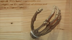 Gifts of Friendship: Replica of fossil from “Cradle of Humankind” gifted by South African President
