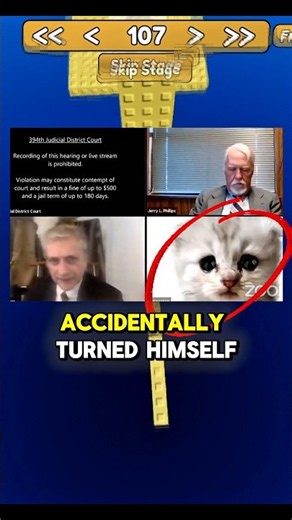 Lawyer turns into a cat during zoom