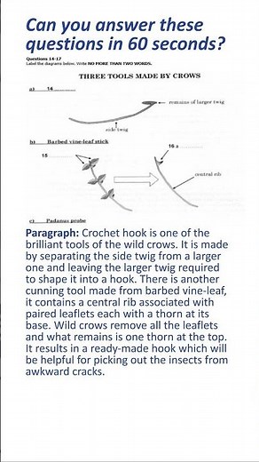 IELTS Reading Practice Test with Answers 31.10.2025 - Test #52