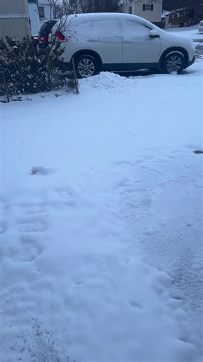 🄼🄰🄼🄰🧸ྀི🪖⚓️ (@wettightpuzzy)’s videos with original sound - riftyy - Rifty ✰