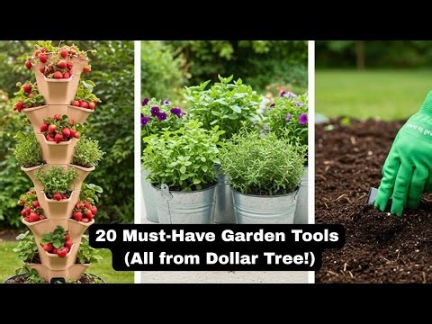 🏡 20 Must-Have Gardening Tools Every Gardener Needs (All from Dollar Tree!)