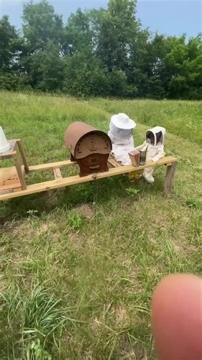 The Round Beehive Explained... #beehive #round #honey #bees #hive | White House on the Hill