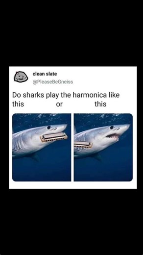 Johnny Bravo Explains Memes | Hey everyone, Johnny here to explain. This meme humorously explores an absurd and amusing hypothetical question: if sharks could play the... | Instagram