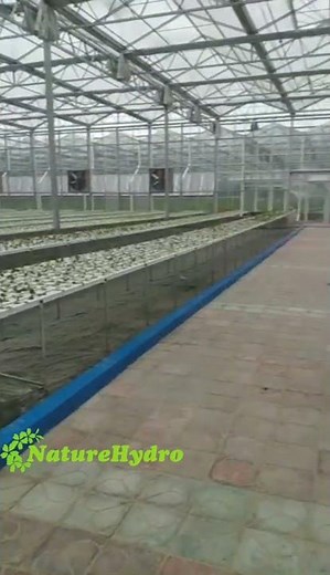 Commercial Hydroponic NFT Grow System