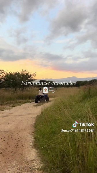 Exploring Venda Farmhouse Chronicles