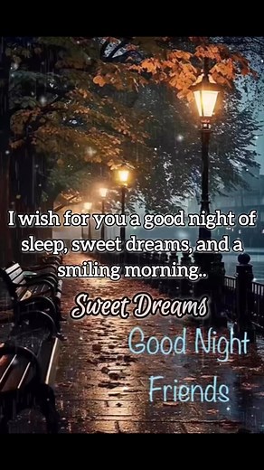 I wish for you a good night of sleep, sweet dreams, and a smiling morning. Good Night and Sweet Dreams! 💤 #goodnight #nightvibes #nightsky #nightquotes #sweetdreams #GoodnightEveryone | Good Night Images, Quotes and Wishes