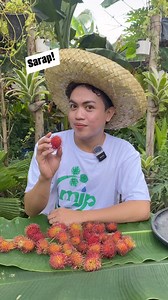 16K views · 48 reactions | The tropical tree fruit “Rambutan” #fypシ゚viralシfypシ゚ #markofthejungleplants #farm | Mark of the Jungle Plants | Facebook