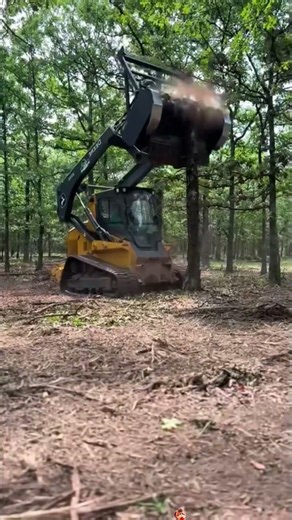 Satisfying Lawn Mower Sounds That Feels Strangely Relaxing