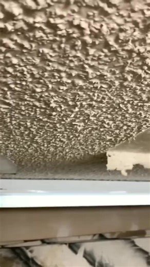 satisfying scrape off the ceiling covering 🤩 #satisfy #ceilingcover #satisfying #asmr #asmrsounds #satis | Phil Lewis