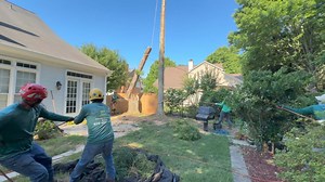🌲 Tree Service Project 📍 Atlanta, GA . 🗣️Call us right now and get a #freeestimate ☎️(678) 457-3487 ✅Fully Insured ✅licensed . . . #trees #treeremoval #treework #arborist #tree #stihl #stumpgrinding #treecare #landscaping #treetrimming #usa #georgia | Jireh Tree Services & Landscaping
