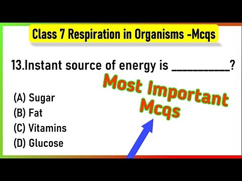 MCQ Questions for Class 7 Science Chapter 10 Respiration in Organisms with Answers