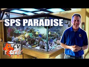 CVtv Special: Inside a STUNNING 450-Gallon SPS Reef Tank, 8 Years of Hard Work Revealed!