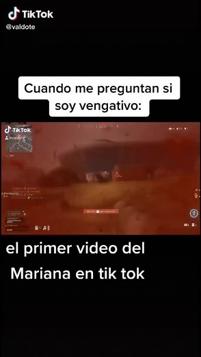 Realistic Video Game Experience: First-Person Gameplay