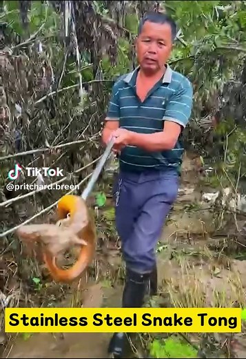 Multi-Purpose Snake Tongs! Catch snakes, eels, loaches & small critters safely—no messy hands! Easy grip, durable design, must-have for anglers & outdoor lovers 🐍🎣 #OutdoorTools #FishingGear