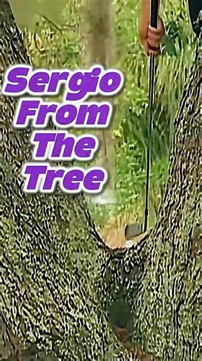 20 Feet Up a Tree?! Sergio’s Craziest Recovery Shot EVER 😳⛳️