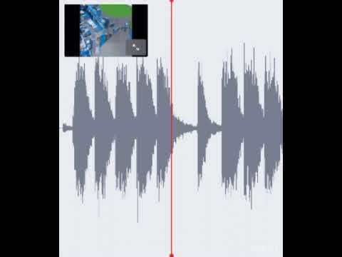 Flamingo’s video put under the AudioStretch