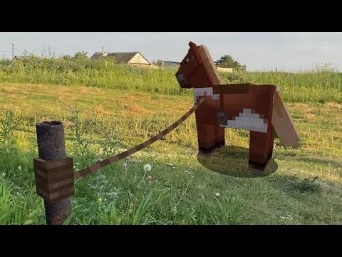 random memes i found on the internet