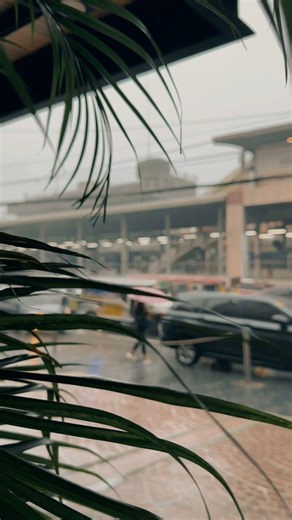 A rainy day at Kabayan Hotel. Stay safe and dry, Kabayan! | Kabayan Hotel