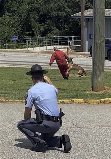 Georgia State Patrol: CSU & CIU Operations Explained