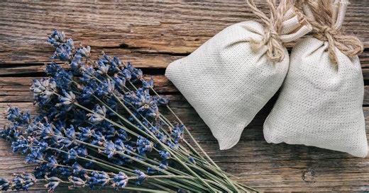 5 utilisations de la lavande à la maison