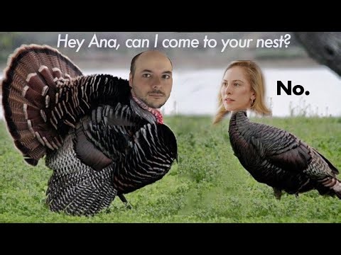 Happy Thanksgiving! New Dutasteride study proves sexual side effects are usually a nocebo effect.