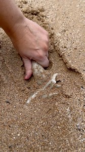 209K views · 292 reactions | Beach discovery makes kid so happy!  (Produced by Network Media and Kyle & Mistie) | Tips, Tricks & Funny Clips | Facebook