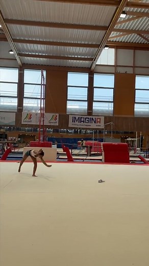 4.1K views · 17 reactions | Progresión para doble mortal‍♀️ ⚠️FAKE BODY⚠️ @cgespla #gimnasia #deporte #trainer #backflips #coaching #parati | Jane Raffetto | Facebook