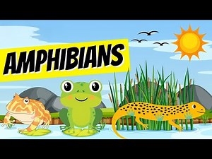 25 Examples of Amphibians || List of Amphibians with Picture