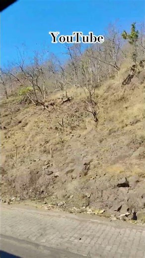 Running motivation, YouTube shorts viral video#army#athletics