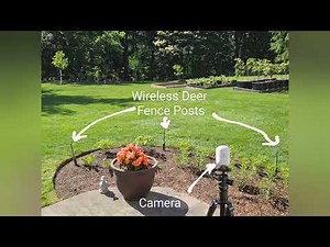 Take That Deer - Wireless Deer Fence Success!