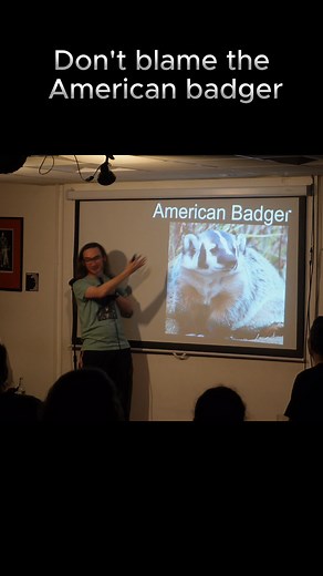 Don't blame the American badger #badgercomedy #badger #100percentbadgers #americanbadger | Matt Hobs Comedy | Facebook