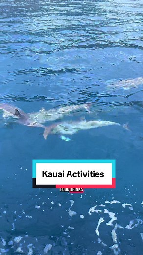 Exciting Activities to Explore in Kauai, Hawaii