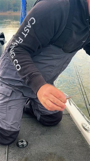 🔥 CAST BFS Braid - Finesse Fall Fishing is wide open throwing our 2.75" Echo on the new 10lb BFS Casting Braid! | Cast Fishing Co - USA