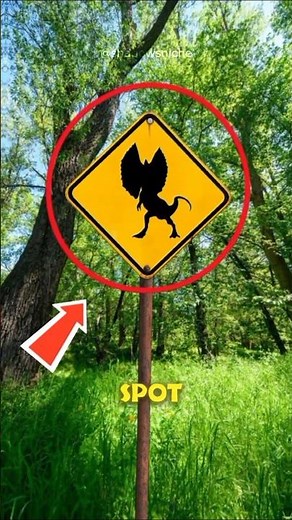Jurassic Park Sign😱❗