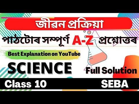 Class 10 Science Chapter 6 Question Answer in Assamese | SEBA | Let's Approach