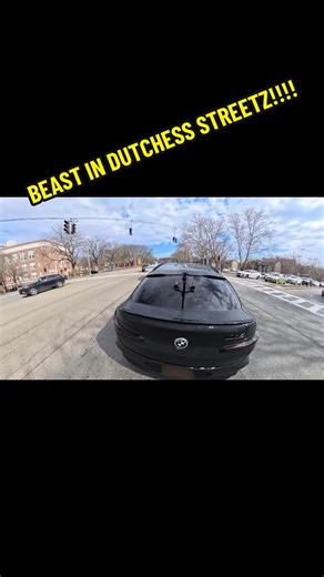 Wildlife in the streets of dutchess county 🦓🐃🦍🐺#bmw #streetstyle #tiktok #trending #fyp