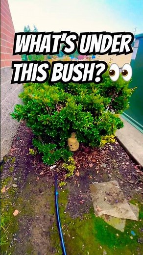 Is this the best Lego-themed cache container you’ve ever seen? What an amazing Geocache!