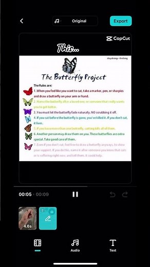 The butterfly project